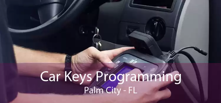 Car Keys Programming Palm City - FL