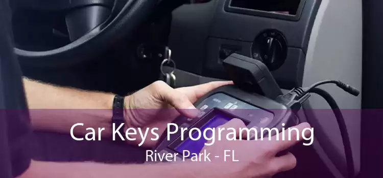 Car Keys Programming River Park - FL