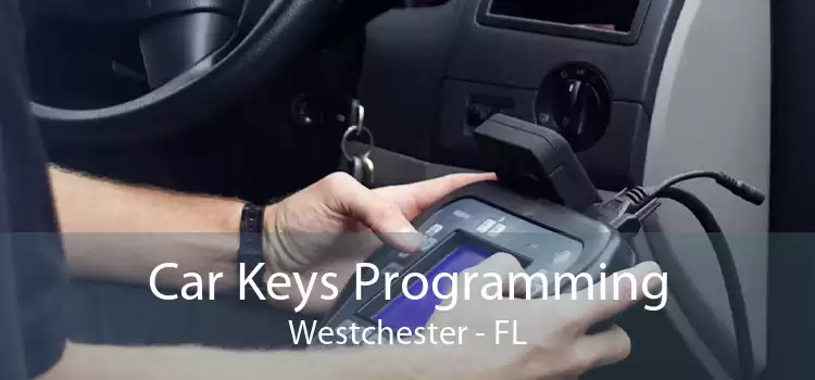 Car Keys Programming Westchester - FL