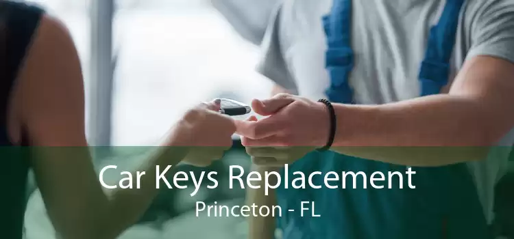 Car Keys Replacement Princeton - FL