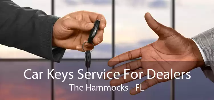 Car Keys Service For Dealers The Hammocks - FL