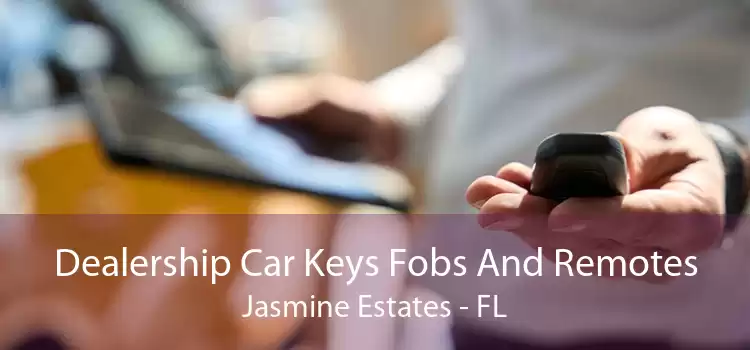 Dealership Car Keys Fobs And Remotes Jasmine Estates - FL