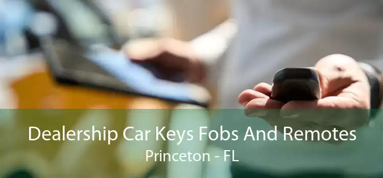 Dealership Car Keys Fobs And Remotes Princeton - FL