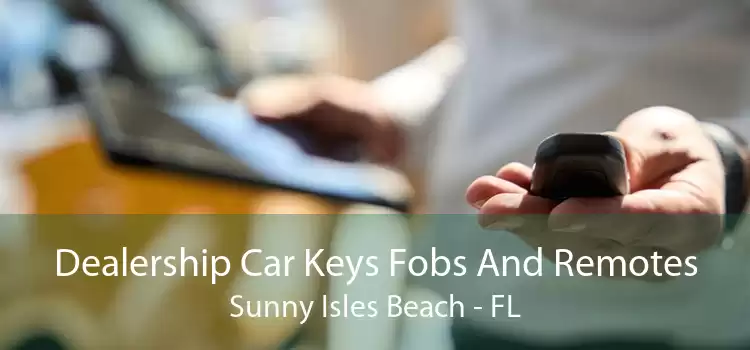 Dealership Car Keys Fobs And Remotes Sunny Isles Beach - FL