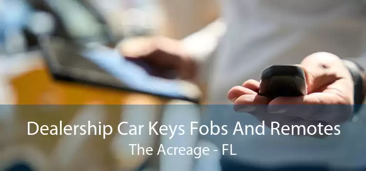 Dealership Car Keys Fobs And Remotes The Acreage - FL
