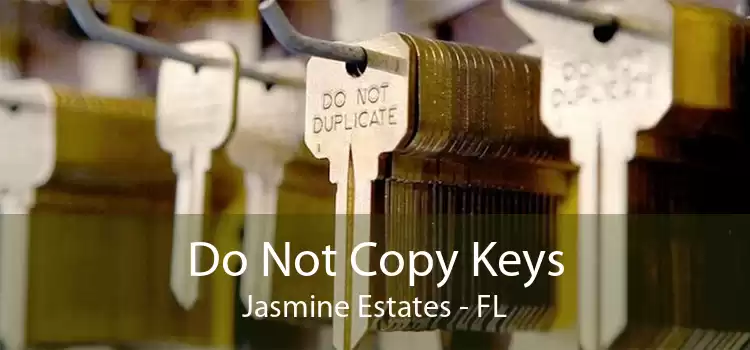 Do Not Copy Keys Jasmine Estates - FL