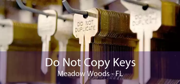 Do Not Copy Keys Meadow Woods - FL
