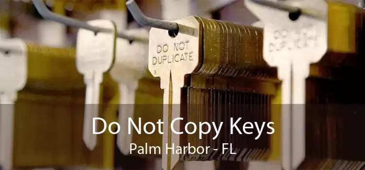 Do Not Copy Keys Palm Harbor - FL