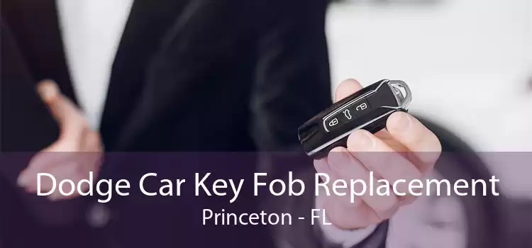 Dodge Car Key Fob Replacement Princeton - FL