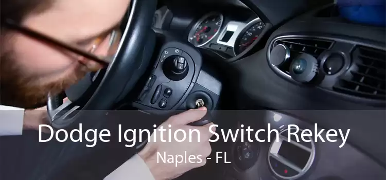 Dodge Ignition Switch Rekey Naples - FL