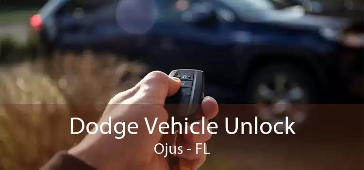 Dodge Vehicle Unlock Ojus - FL