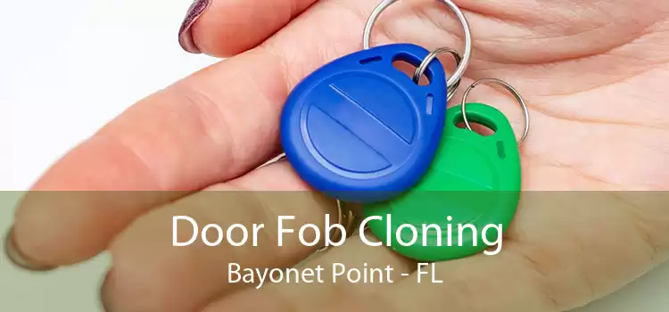 Door Fob Cloning Bayonet Point - FL