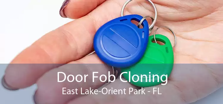 Door Fob Cloning East Lake-Orient Park - FL