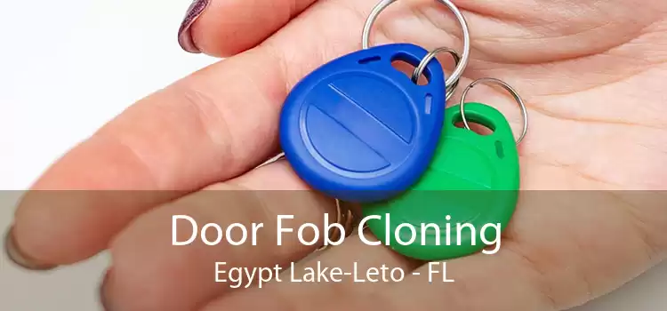 Door Fob Cloning Egypt Lake-Leto - FL