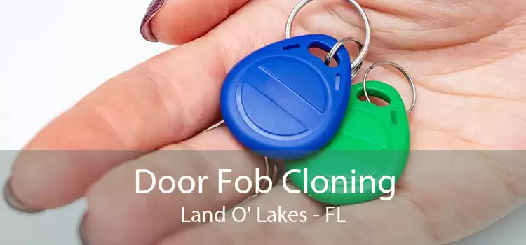 Door Fob Cloning Land O' Lakes - FL