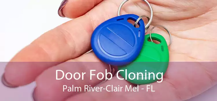 Door Fob Cloning Palm River-Clair Mel - FL