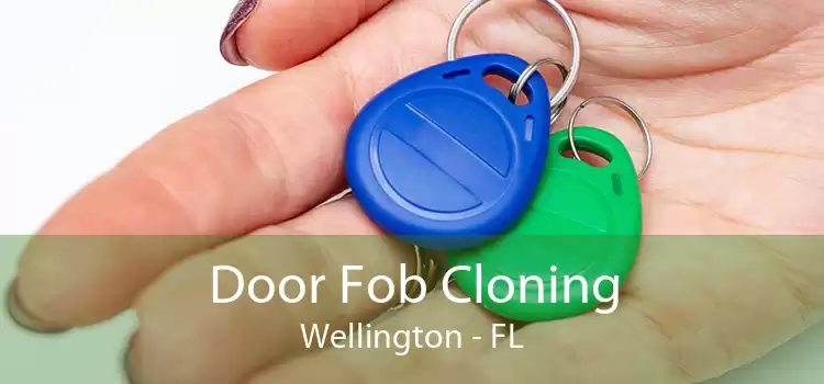 Door Fob Cloning Wellington - FL