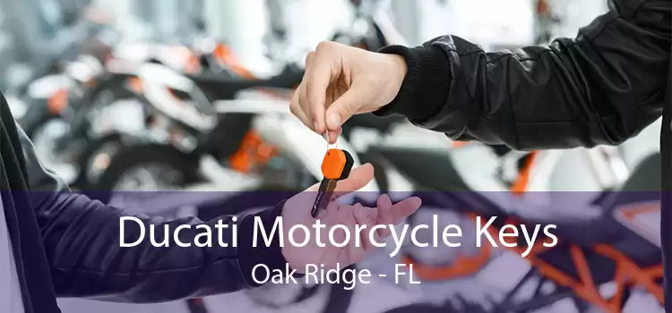 Ducati Motorcycle Keys Oak Ridge - FL