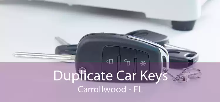 Duplicate Car Keys Carrollwood - FL
