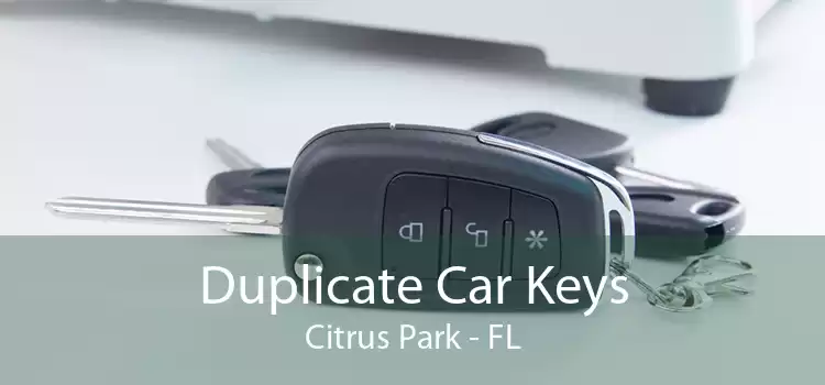 Duplicate Car Keys Citrus Park - FL