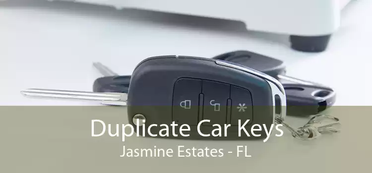Duplicate Car Keys Jasmine Estates - FL