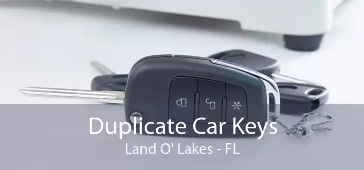 Duplicate Car Keys Land O' Lakes - FL