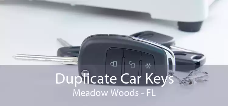 Duplicate Car Keys Meadow Woods - FL
