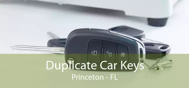 Duplicate Car Keys Princeton - FL