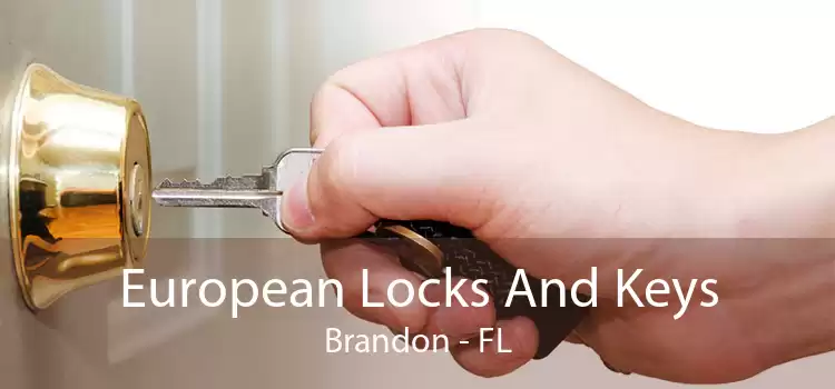 European Locks And Keys Brandon - FL