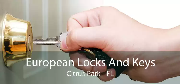 European Locks And Keys Citrus Park - FL