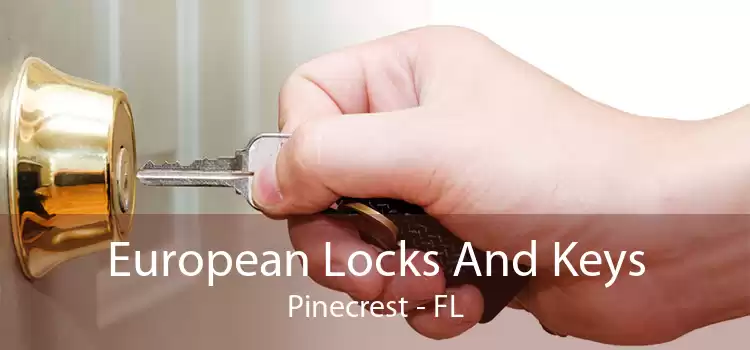 European Locks And Keys Pinecrest - FL
