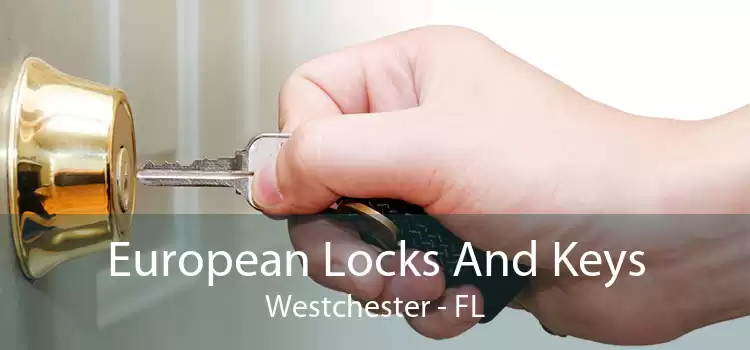European Locks And Keys Westchester - FL