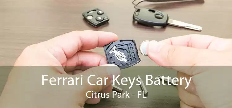 Ferrari Car Keys Battery Citrus Park - FL