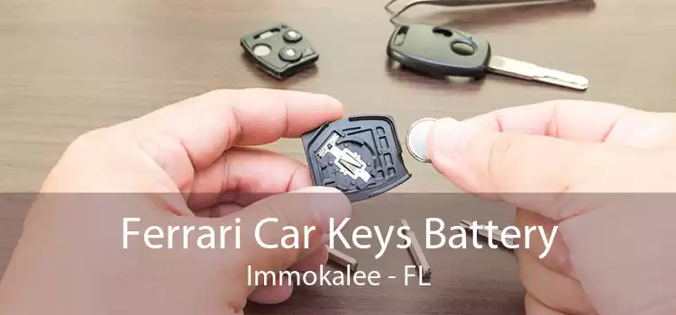 Ferrari Car Keys Battery Immokalee - FL