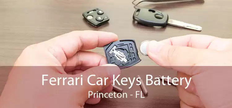 Ferrari Car Keys Battery Princeton - FL