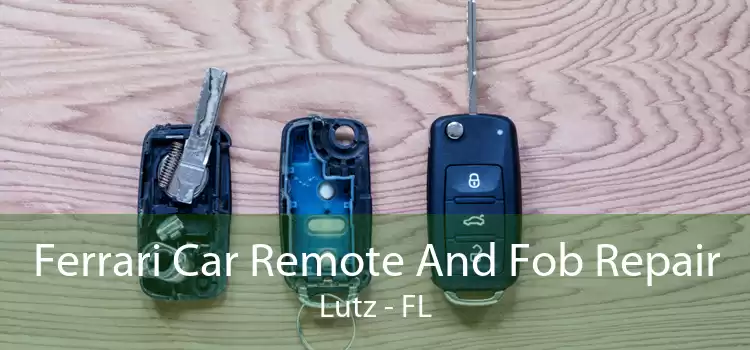 Ferrari Car Remote And Fob Repair Lutz - FL
