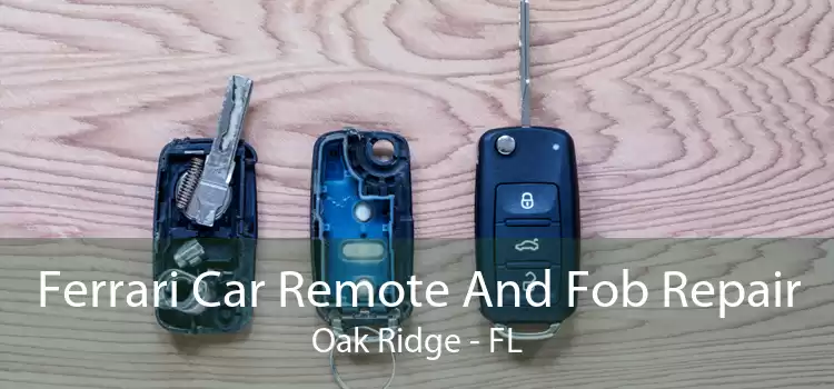 Ferrari Car Remote And Fob Repair Oak Ridge - FL