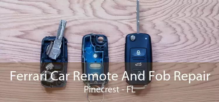 Ferrari Car Remote And Fob Repair Pinecrest - FL