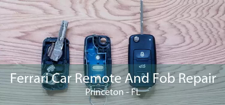 Ferrari Car Remote And Fob Repair Princeton - FL