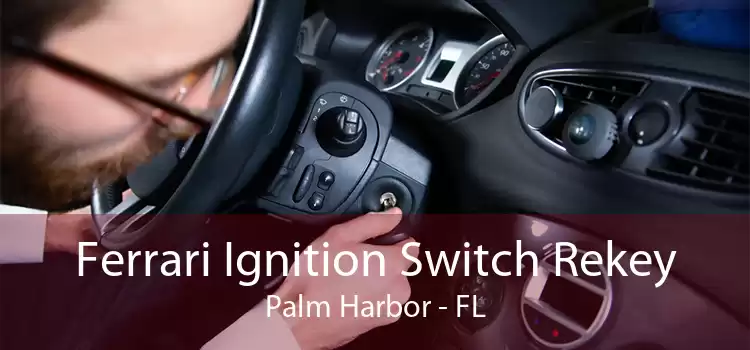 Ferrari Ignition Switch Rekey Palm Harbor - FL