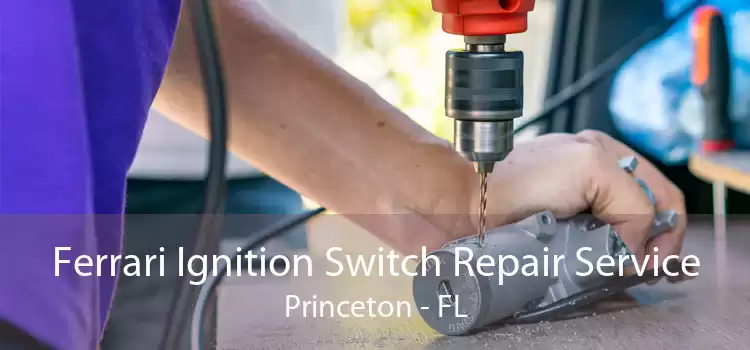 Ferrari Ignition Switch Repair Service Princeton - FL
