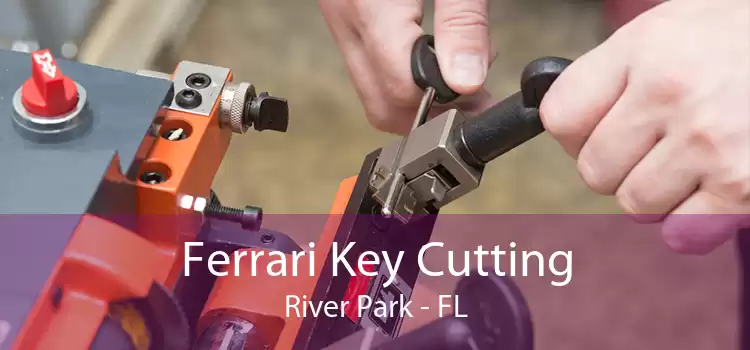 Ferrari Key Cutting River Park - FL