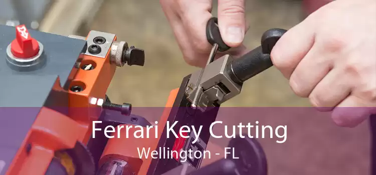Ferrari Key Cutting Wellington - FL