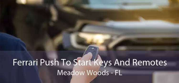 Ferrari Push To Start Keys And Remotes Meadow Woods - FL