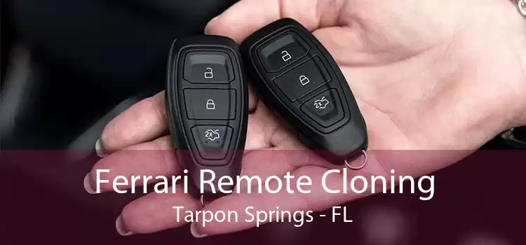 Ferrari Remote Cloning Tarpon Springs - FL