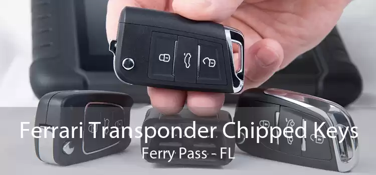 Ferrari Transponder Chipped Keys Ferry Pass - FL