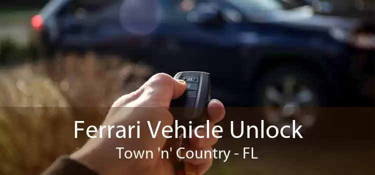 Ferrari Vehicle Unlock Town 'n' Country - FL