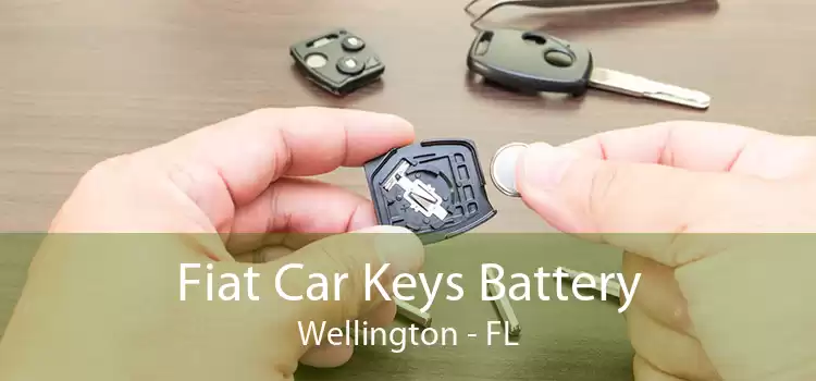 Fiat Car Keys Battery Wellington - FL