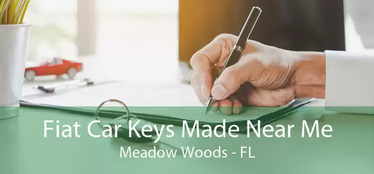 Fiat Car Keys Made Near Me Meadow Woods - FL