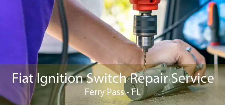 Fiat Ignition Switch Repair Service Ferry Pass - FL